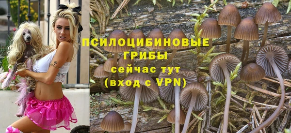 а пвп мука Михайлов