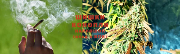 PSILOCYBIN Михайловск
