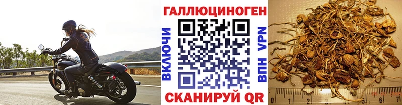 Галлюциногенные грибы мухоморы  Малая Вишера 